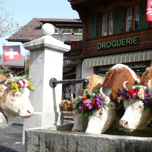 Veranstaltungen in der Region